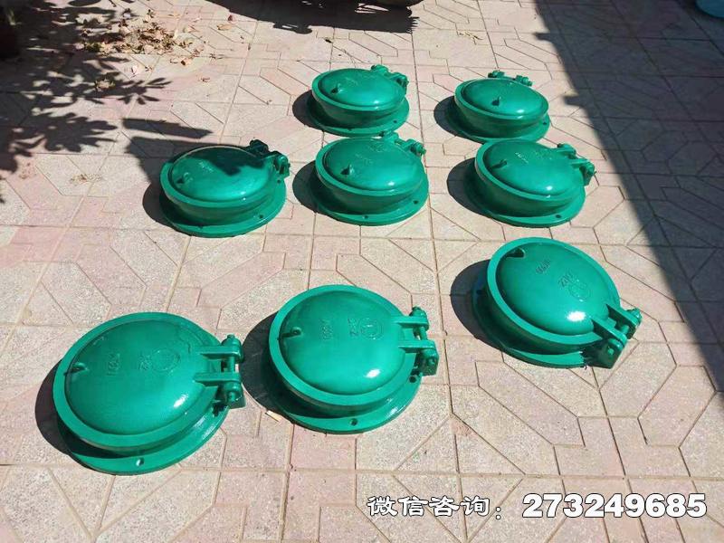 横峰县玻璃钢止水拍门