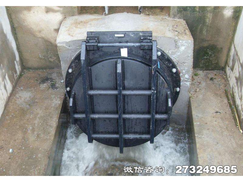 乡宁县钢制水渠拍门